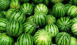 学生秘密基地吃瓜,吃瓜背后的青春故事