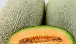 吃哈密瓜的益处,润肺补水，健康生活新选择