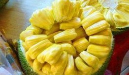 湖州金融圈吃瓜