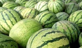 籽瓜热吃吗,热食还是冷食，哪种吃法更佳？