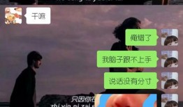 直男吃瓜事件,揭秘网络舆论背后的真相与反思