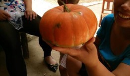 吃瓜粘布,揭秘瓜农与布艺的奇妙融合