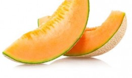 海盗吃哈密瓜,海上奇遇记