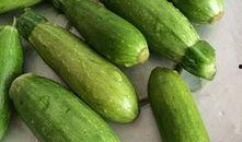 角瓜怎么大量吃,探索大量食用角瓜的多样美味与营养益处