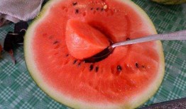 吃瓜网网友,吃瓜网友热议的明星幕后故事