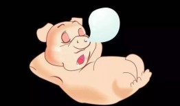 吃瓜小胖猪,揭秘娱乐圈的甜蜜瓜田