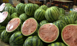 最新吃瓜是什么,网络热词背后的文化现象