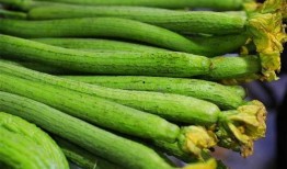 没钱吃的瓜,揭秘贫困家庭的生存困境