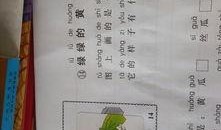 瓜地吃瓜 看图写话