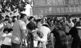 保定吃瓜群众,吃瓜群众的热议焦点