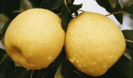 元气良吃瓜,揭秘娱乐圈那些不为人知的幕后故事