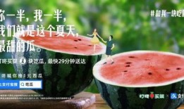 夏天就是吃瓜文案,瓜果飘香——夏季吃瓜指南