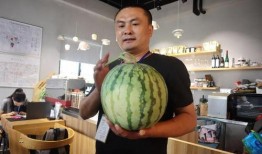 温州吃瓜直播,带你领略当地美食与风土人情