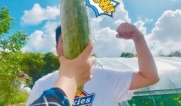 小紫吃瓜,揭秘娱乐圈那些不为人知的幕后故事