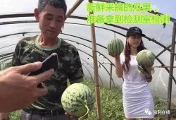 温州吃瓜直播,带你领略当地美食与风土人情