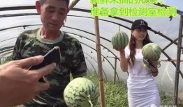 温州吃瓜直播,带你领略当地美食与风土人情