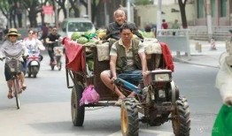 摆摊吃瓜群众视频,摆摊吃瓜群众的生活剪影