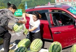 农村吃瓜群众来了