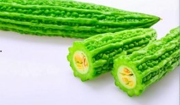 夏日吃瓜的情形,清凉一夏，尽享甜蜜时光