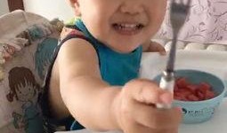 大人儿童吃瓜视频,吃瓜视频趣味横生