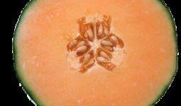 月经期间吃哈密瓜,月经期间食用哈密瓜的影响与注意事项