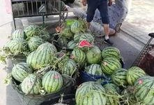 青州西城吃瓜事件,一场引发热议的街头冲突纪实