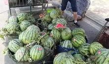 青州西城吃瓜事件,一场引发热议的街头冲突纪实