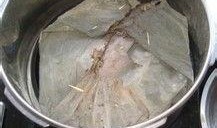 肾病可以吃猪瓜,猪瓜的营养与食疗价值