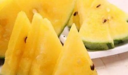 瓜地吃瓜的下一句,乐在其中