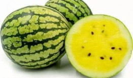 卫青云吃瓜,揭秘娱乐圈幕后真相