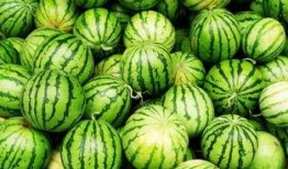 国外吃瓜方式,揭秘各国独特的“吃瓜”文化