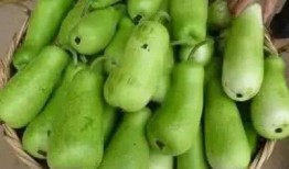 广东最新吃瓜事件,广东最新“瓜田”事件，揭秘背后真相