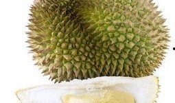 孕妇吃榴莲哈密瓜鸡蛋,榴莲、哈密瓜与鸡蛋的完美搭配