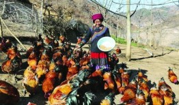 吃瓜凉山昭觉,探寻吃瓜背后的文化现象