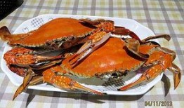 螃蟹吃瓜鱼,一场海洋生物的跨界美食之旅