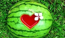 梦见吃的瓜坏了,瓜坏预示的深层寓意