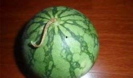 吃瓜小绿,揭秘娱乐圈那些不为人知的幕后故事