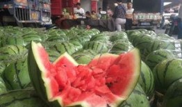 财经吃高档瓜,高端瓜果背后的财富密码