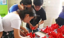 鸭子吃瓜群众,揭秘动物界的趣味生活