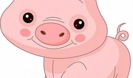 吃瓜小胖猪,揭秘娱乐圈的甜蜜瓜田