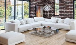 吃瓜沙发拍照图片高清