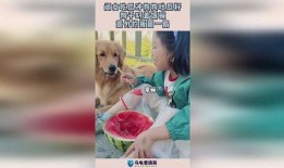 闺女吃瓜图片,闺女品尝夏日美味，甜蜜瞬间定格