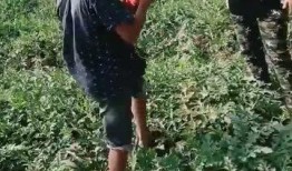 吃瓜村民照片,照片背后的故事与真相
