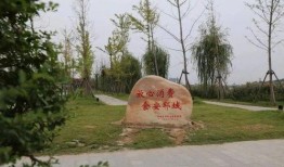 郓城公园吃瓜,畅享清凉时光