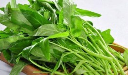 空心菜和水瓜渣能一起吃,空心菜与水瓜渣的养生新食尚