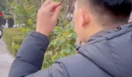 吵架吃瓜,揭秘网络热议背后的真相与笑料