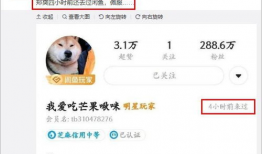 天天吃瓜模式开启,揭秘“天天吃瓜”背后的网络现象