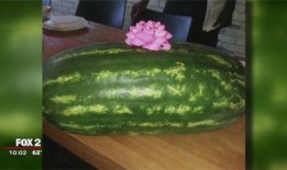 外国吃瓜网有什么