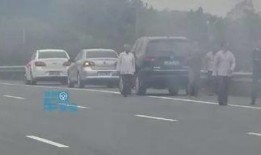 吃瓜群众停车被罚,引发网友热议