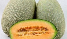 吃哈密瓜的益处,润肺补水，健康生活新选择